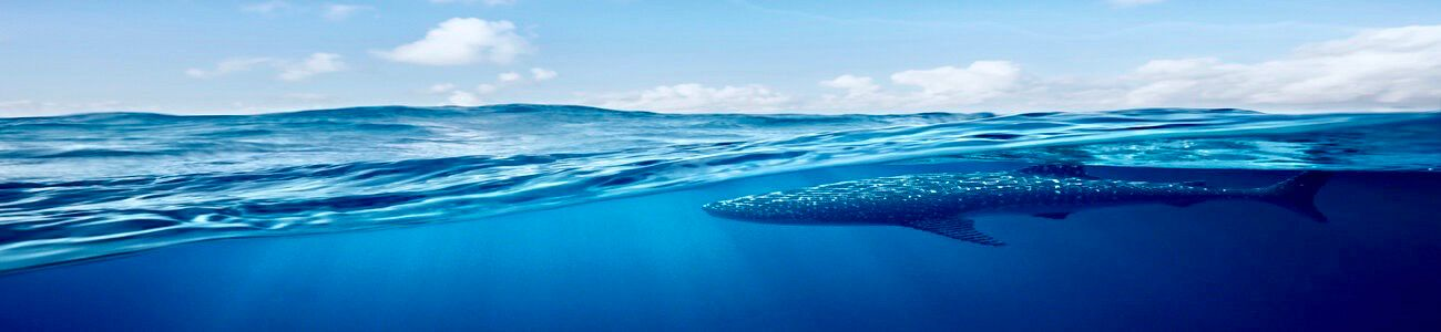 Slider - Kalido Travel